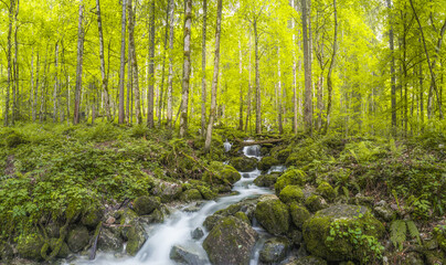 Rothbach Waterfall near Konigssee lake in Berchtesgaden National Park, Germany