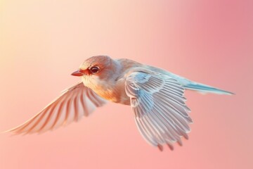 Fototapeta premium Swift, isolated on pastel background, stock photographic style