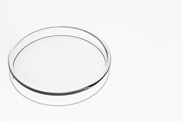 Medical round glass or Petri dish on a light background