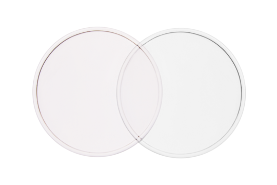 Medical round glass type Petri dish on blank background