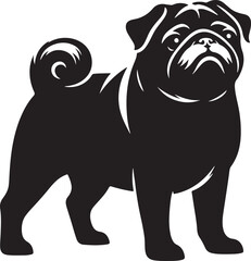 Pug dog  vector illustration