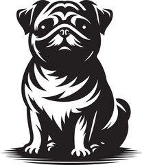Pug dog  vector illustration
