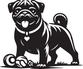 Pug dog  vector illustration