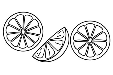 Lemon slices hand-sketched line art food illustration style