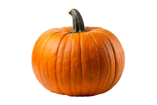 Bright Orange Pumpkin for Colorful Autumn Leaves