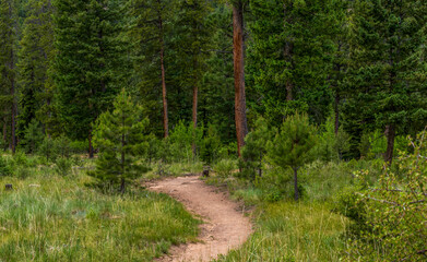 Scenic Rocky landscape in the Staunton State Park, Colorado