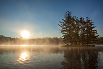 Island with pine trees and fog at sunrise on a northern Minnesota lake during summer