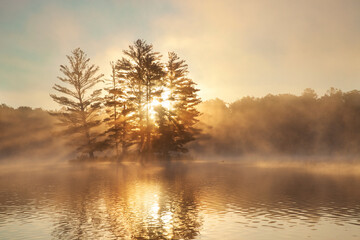 Small island with pine trees fog a loon and sunburst at dawn on a northern Minnesota lake during summer