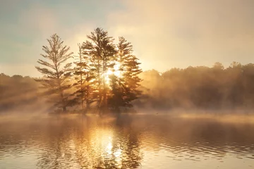 Small island with pine trees fog a loon and sunburst at dawn on a northern Minnesota lake during summer