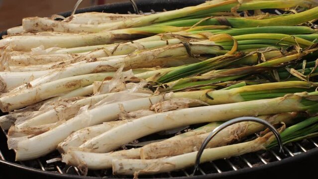Traditional Spanish catalan green winter onion calcots, spring green season grill barbecue, vegan bbq with fire in Barcelona, Catalonia. Close up of grilling green onion.