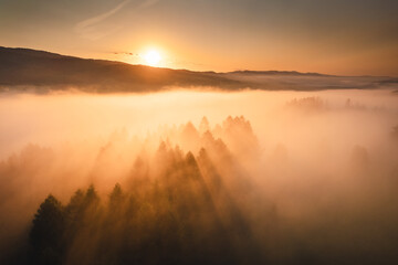 Obraz premium Misty morning in Pieniny Mountains during summer sunrise