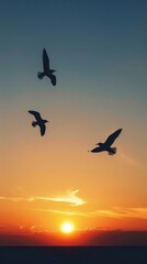 Obraz premium Seagulls flying over the ocean at sunset, serene and peaceful nature scene