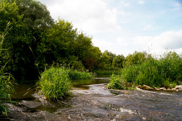 Obraz premium River Flowing Through Lush Forest
