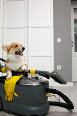 Cute and fluffy corgi dog sitting on top of a professional cleaning vacuum cleaner. The dog looks curious and adorable as it explores the vacuum cleaner.