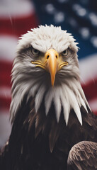 Obraz premium American Bald Eagle with USA flag on background 4th july independence day concept