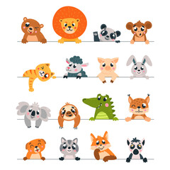 Animal looking out lines. Wild animals pets peeking out line. Childish cute banners or stickers. Cartoon lion koala sheep monkey, classy vector set