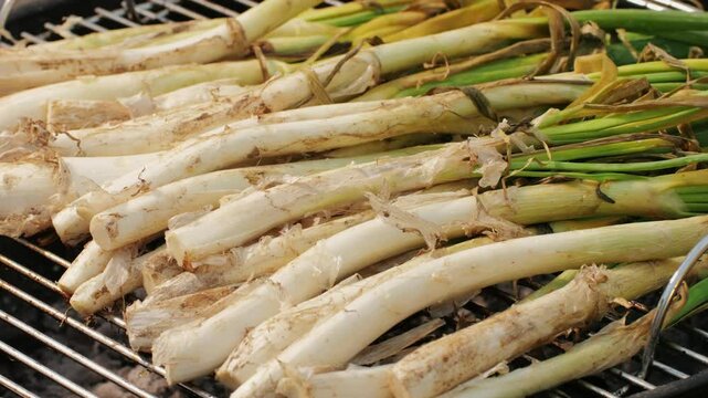 Traditional Spanish catalan green winter onion calcots, spring green season grill barbecue, vegan bbq with fire in Barcelona, Catalonia. Close up of grilling green onion.