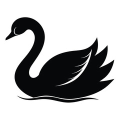 Obraz premium black swan silhouette vector illustration