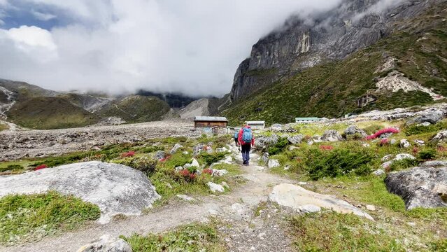 Lonely woman backpacker trekker with trekking poles goes by the mountain valley path on the Mera peak climbing route. Tagnag settlement at cca 4150m. Sunny day active people mountain 4K video.