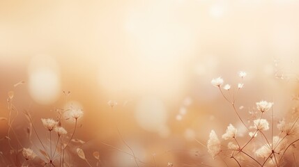 dreamy background beige