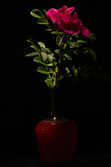 Kwiaty polne, bukiet kwitów polnych © Andrzej