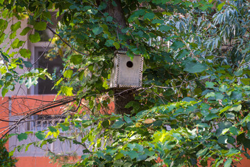 Wooden birdhouse mounted on a tree branch surrounded by green leaves