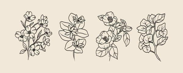Fototapeta premium Line art flowers collection. Botanical illustration