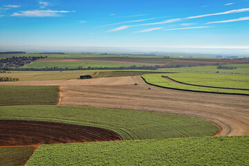 Aérea de canavial colhido com céu azul  