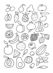 delicious juicy fruits set. Images of fruits isolated. Healthy food. Food doodle. Vector illustration.