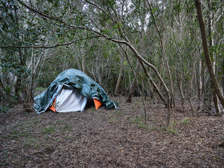 Tent covered with green tarp under trees