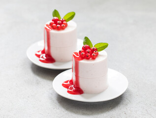 Red Currant Cream pudding cylindrical shape. Panna Cotta. With Red Currant sauce. Close-up