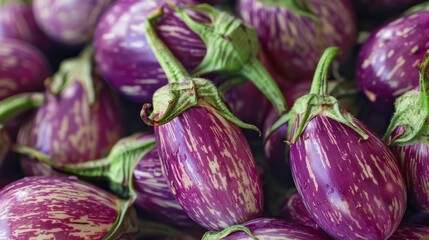 Purple eggplants with striped pattern, close-up shot. Fresh produce and healthy eating concept.