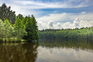 A calm lake with trees in the background