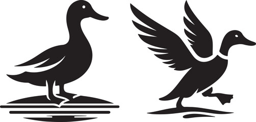 Silhouette of a duck and bird