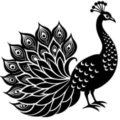 Stunning Peacock Vector Illustration for Art and Design Projects