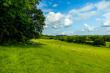 Unterwegs in der wunderschönen Landschaft von Dorset zum Corfe Castle und der Swanage Railway - Vereinigtes Königreich