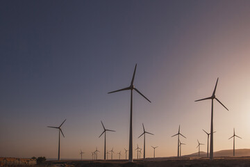 Renewable energy, wind turbines power plant at sunset