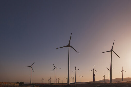 Renewable energy, wind turbines power plant at sunset