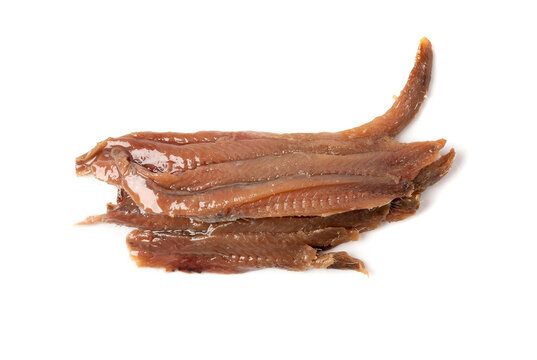 Canned anchovy fillet, marinated fish, traditional salted anchovy in oil on white