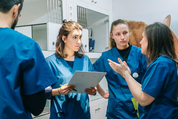 Veterinarians Discussing in Clinic