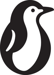 black and white bird