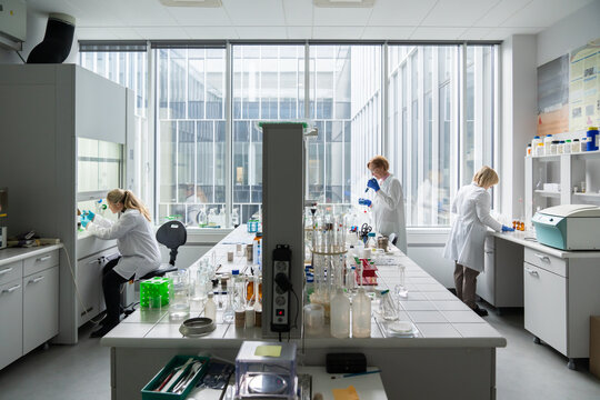 Many Scientists Working In The Lab