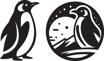 black and white bird