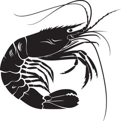 illustration of shrimp