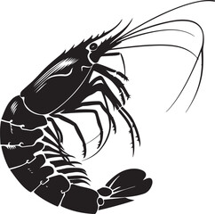 illustration of shrimp