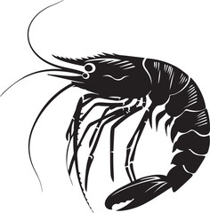 illustration of shrimp