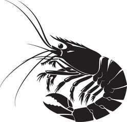 illustration of shrimp