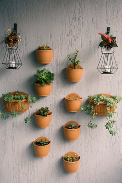 plants and streetlights hanging from a wall