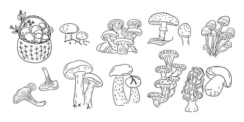 Autumn mushrooms contour doodle set with leaves and berries. Monochrome seasonal botanical contour stickers. Vector clipart of sketchy drawings isolated on white background