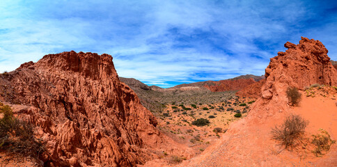 Panorama of high elevation landscape in the Andes mountains in Jujui province, Argentina, with typical red rocks and sparse vegetation